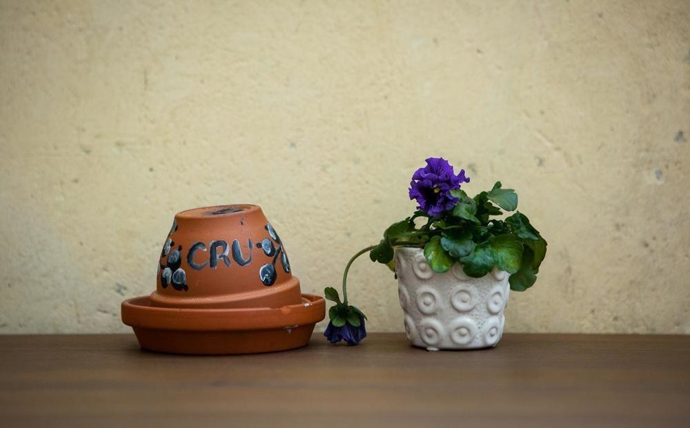 Cru Hotelli Tallinna